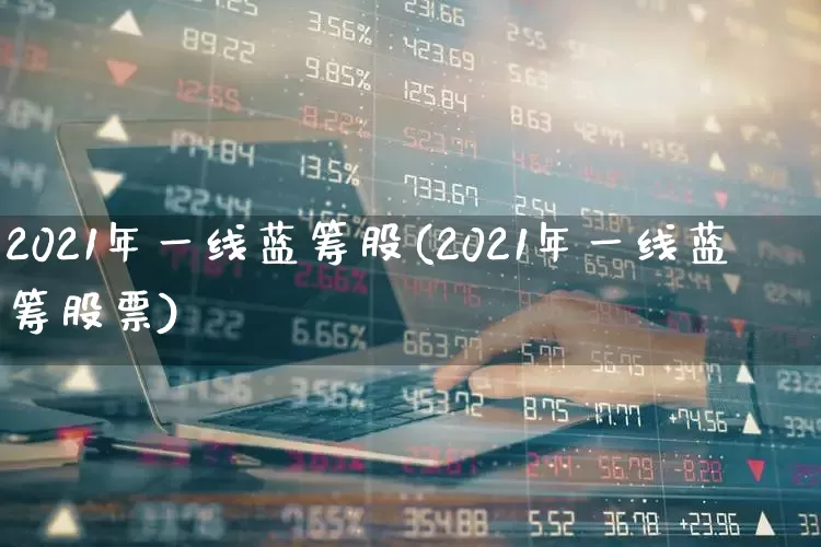 2021年一线蓝筹股(2021年一线蓝筹股票)_https://www.haiwangdasha.com_上交所_第1张