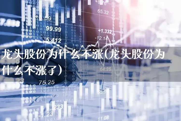 龙头股份为什么不涨(龙头股份为什么不涨了)_https://www.haiwangdasha.com_科创板_第1张