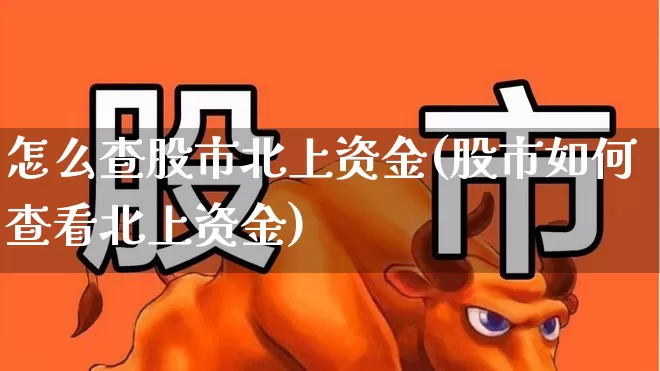 怎么查股市北上资金(股市如何查看北上资金)_https://www.haiwangdasha.com_科创板_第1张