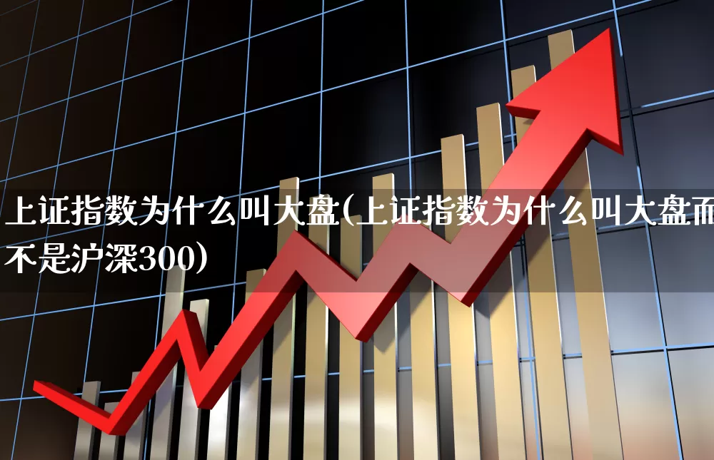 上证指数为什么叫大盘(上证指数为什么叫大盘而不是沪深300)_https://www.haiwangdasha.com_上交所_第1张