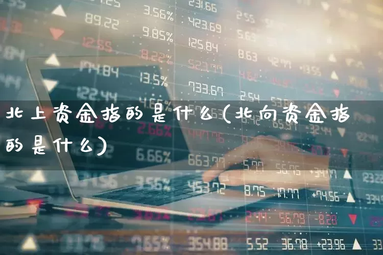 北上资金指的是什么(北向资金指的是什么)_https://www.haiwangdasha.com_北交所_第1张