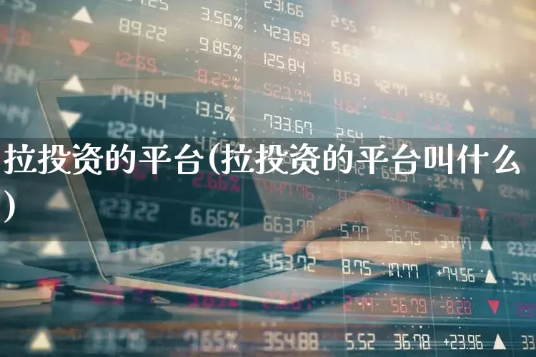 拉投资的平台(拉投资的平台叫什么)_https://www.haiwangdasha.com_深交所_第1张