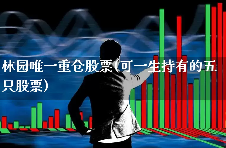 林园唯一重仓股票(可一生持有的五只股票)_https://www.haiwangdasha.com_科创板_第1张