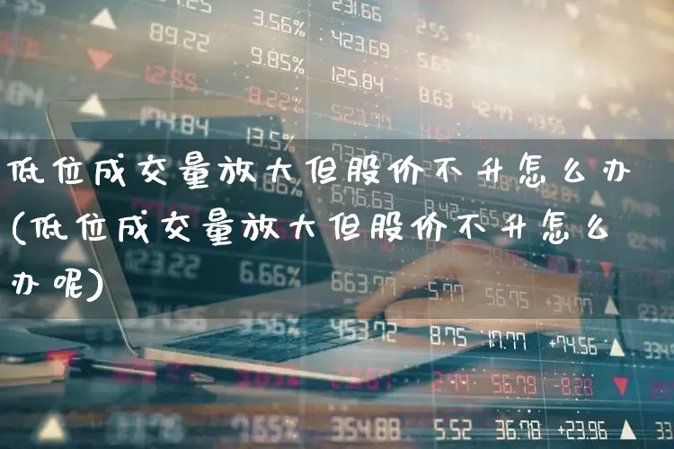低位成交量放大但股价不升怎么办(低位成交量放大但股价不升怎么办呢)_https://www.haiwangdasha.com_深交所_第1张