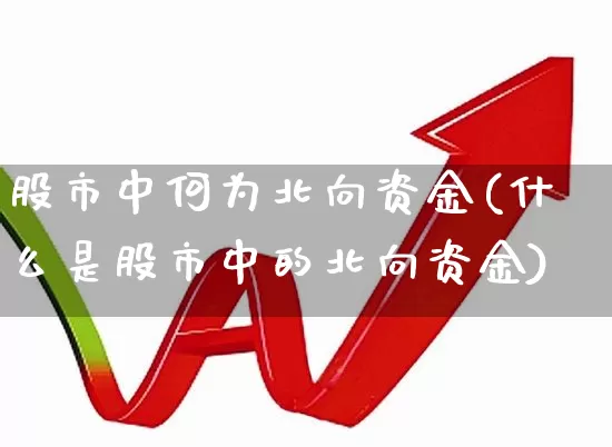 股市中何为北向资金(什么是股市中的北向资金)_https://www.haiwangdasha.com_深交所_第1张