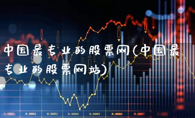 中国最专业的股票网(中国最专业的股票网站)_https://www.haiwangdasha.com_深交所_第1张