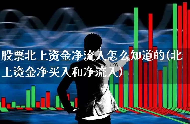 股票北上资金净流入怎么知道的(北上资金净买入和净流入)_https://www.haiwangdasha.com_深交所_第1张