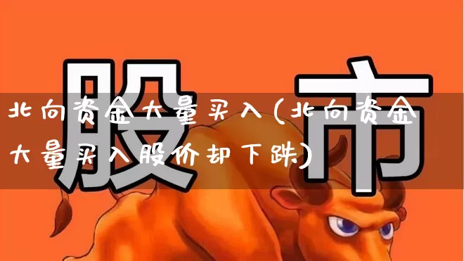 北向资金大量买入(北向资金大量买入股价却下跌)_https://www.haiwangdasha.com_深交所_第1张
