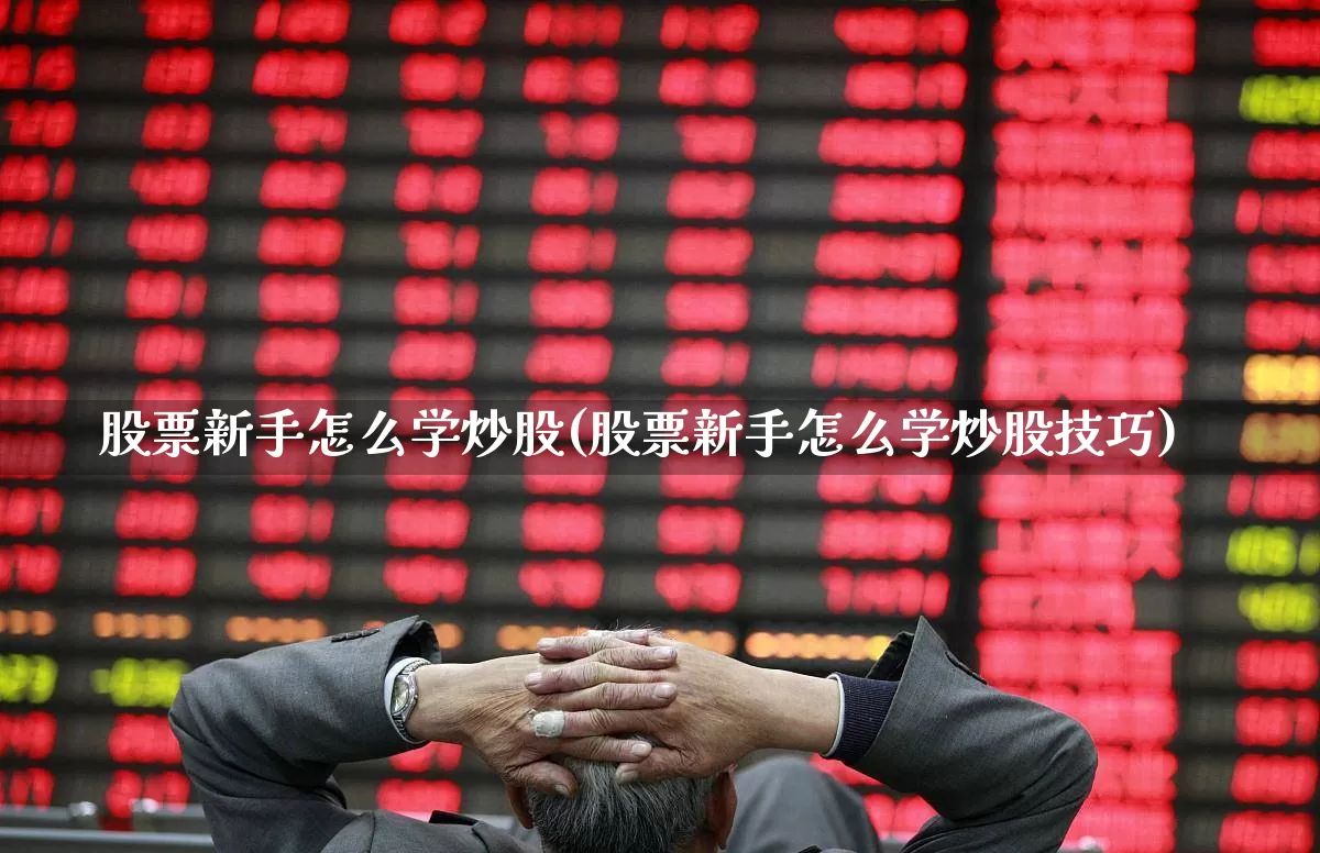 股票新手怎么学炒股(股票新手怎么学炒股技巧)_https://www.haiwangdasha.com_科创板_第1张