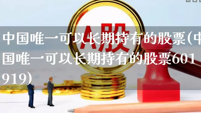 中国唯一可以长期持有的股票(中国唯一可以长期持有的股票601919)_https://www.haiwangdasha.com_大商所_第1张