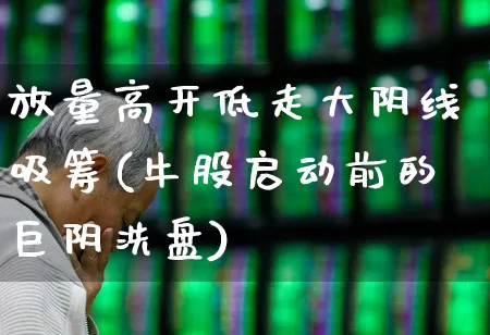 放量高开低走大阴线吸筹(牛股启动前的巨阴洗盘)_https://www.haiwangdasha.com_上交所_第1张