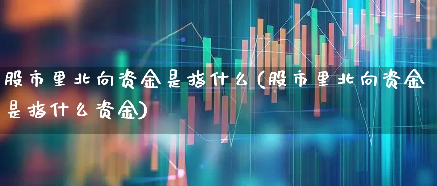 股市里北向资金是指什么(股市里北向资金是指什么资金)_https://www.haiwangdasha.com_创业板_第1张