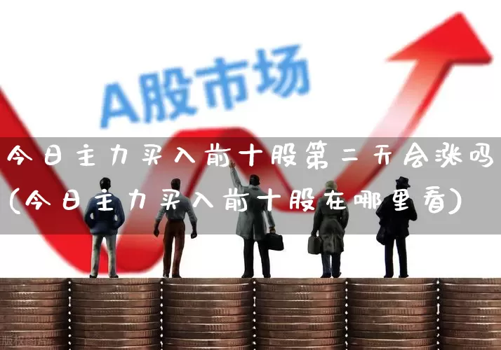 今日主力买入前十股第二天会涨吗(今日主力买入前十股在哪里看)_https://www.haiwangdasha.com_深交所_第1张
