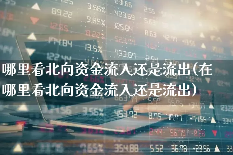 哪里看北向资金流入还是流出(在哪里看北向资金流入还是流出)_https://www.haiwangdasha.com_上交所_第1张