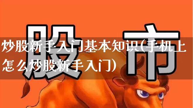 炒股新手入门基本知识(手机上怎么炒股新手入门)_https://www.haiwangdasha.com_北交所_第1张