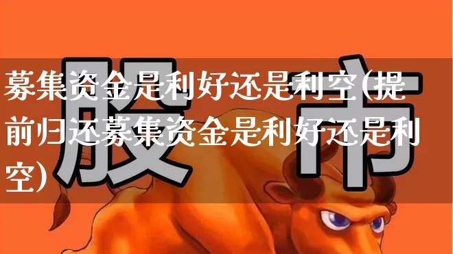 募集资金是利好还是利空(提前归还募集资金是利好还是利空)_https://www.haiwangdasha.com_北交所_第1张