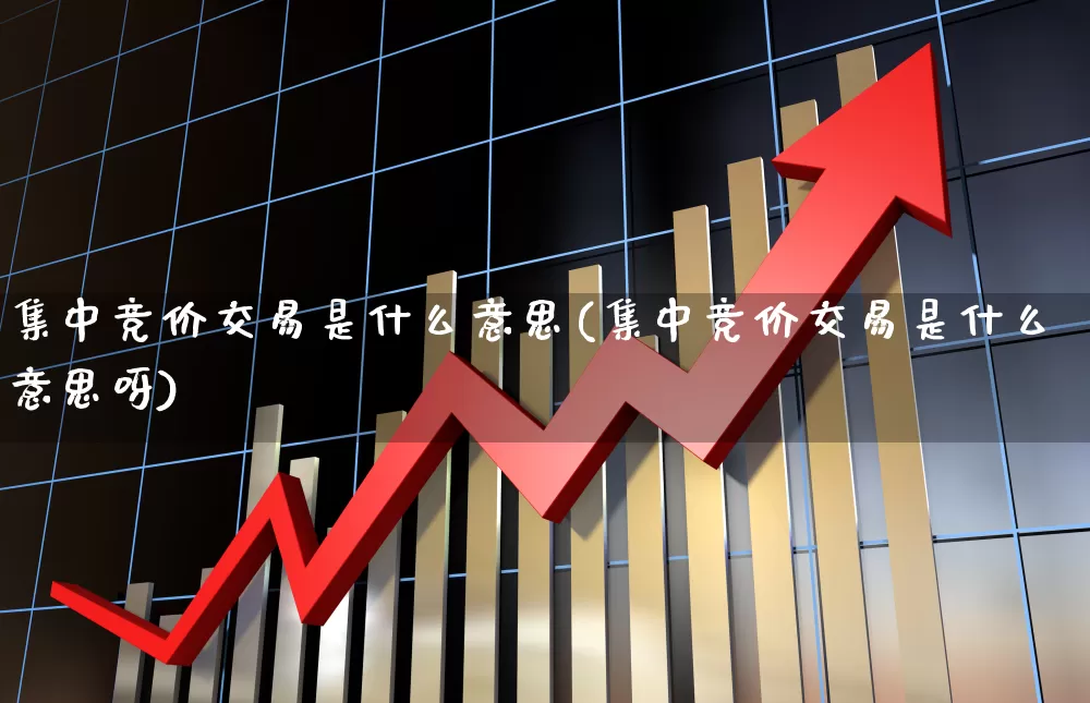 集中竞价交易是什么意思(集中竞价交易是什么意思呀)_https://www.haiwangdasha.com_上交所_第1张