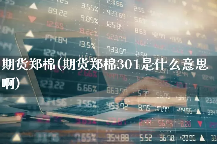 期货郑棉(期货郑棉301是什么意思啊)_https://www.haiwangdasha.com_上期能源_第1张