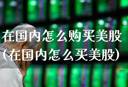 在国内怎么购买美股(在国内怎么买美股)_https://www.haiwangdasha.com_中金所_第1张
