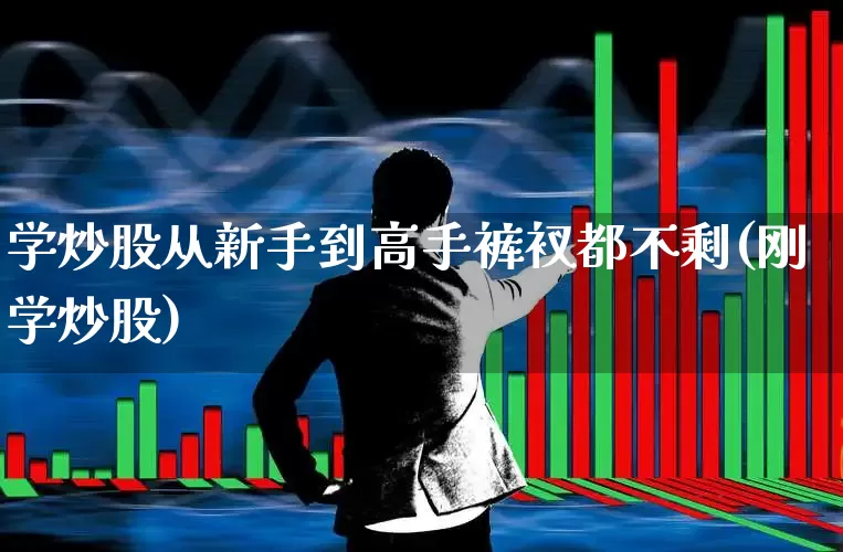 学炒股从新手到高手裤衩都不剩(刚学炒股)_https://www.haiwangdasha.com_创业板_第1张