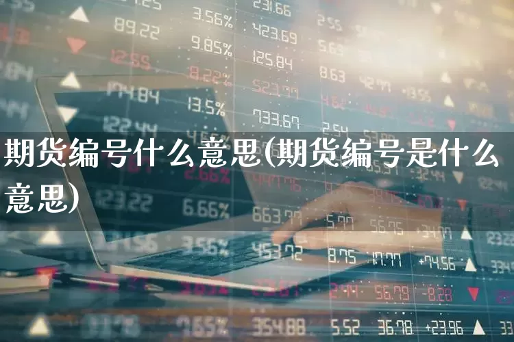 期货编号什么意思(期货编号是什么意思)_https://www.haiwangdasha.com_北交所_第1张