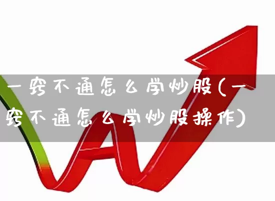 一窍不通怎么学炒股(一窍不通怎么学炒股操作)_https://www.haiwangdasha.com_深交所_第1张