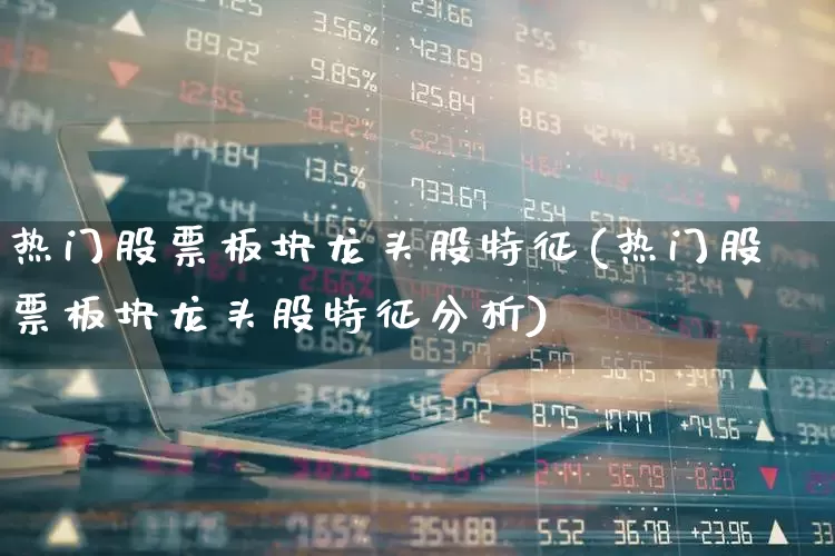 热门股票板块龙头股特征(热门股票板块龙头股特征分析)_https://www.haiwangdasha.com_北交所_第1张