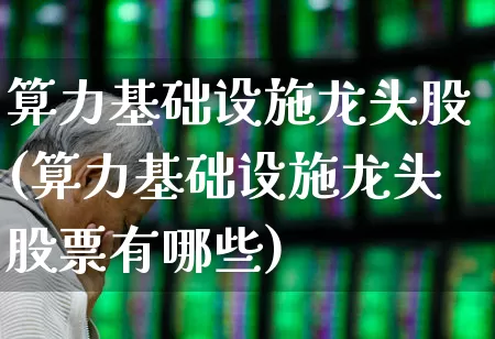 算力基础设施龙头股(算力基础设施龙头股票有哪些)_https://www.haiwangdasha.com_北交所_第1张