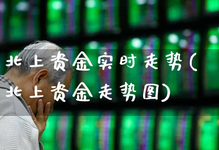 北上资金实时走势(北上资金走势图)_https://www.haiwangdasha.com_创业板_第1张