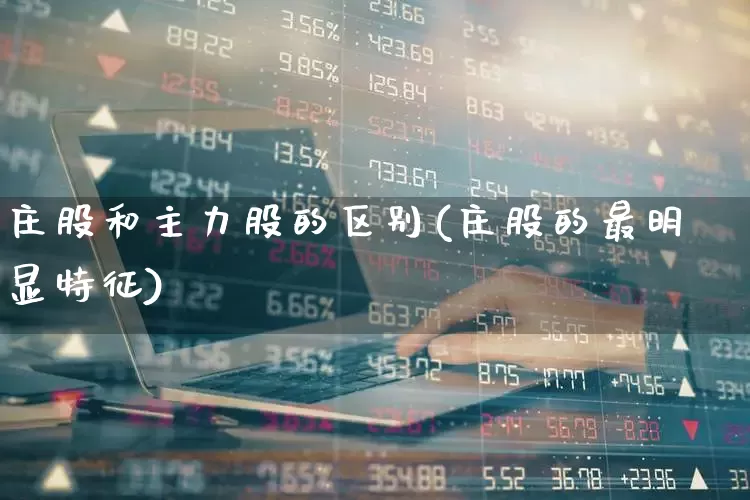 庄股和主力股的区别(庄股的最明显特征)_https://www.haiwangdasha.com_上交所_第1张