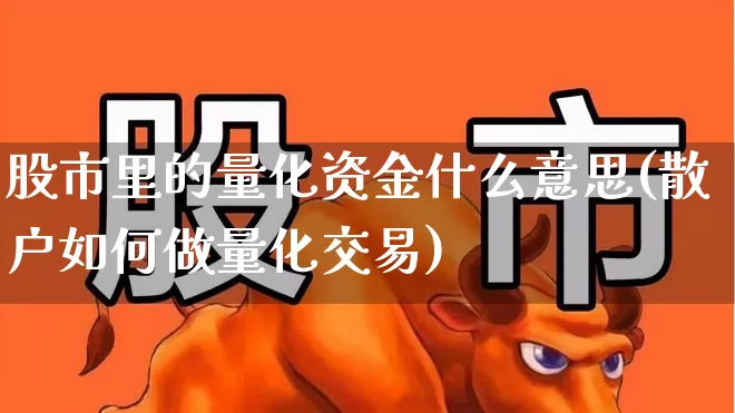 股市里的量化资金什么意思(散户如何做量化交易)_https://www.haiwangdasha.com_北交所_第1张