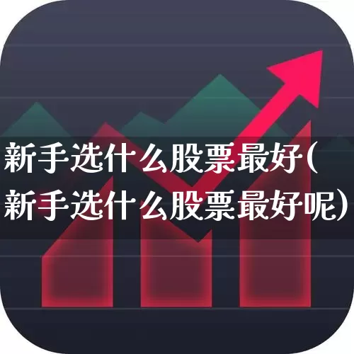 新手选什么股票最好(新手选什么股票最好呢)_https://www.haiwangdasha.com_创业板_第1张