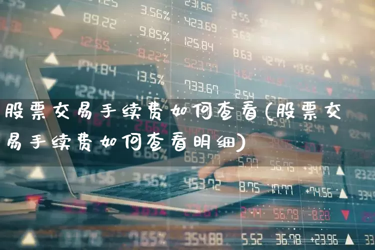 股票交易手续费如何查看(股票交易手续费如何查看明细)_https://www.haiwangdasha.com_北交所_第1张