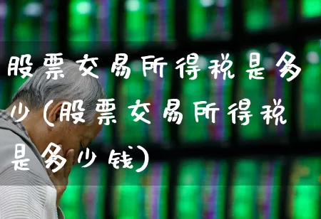 股票交易所得税是多少(股票交易所得税是多少钱)_https://www.haiwangdasha.com_深交所_第1张