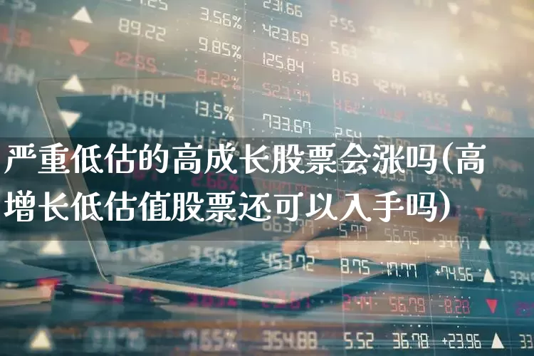 严重低估的高成长股票会涨吗(高增长低估值股票还可以入手吗)_https://www.haiwangdasha.com_上交所_第1张