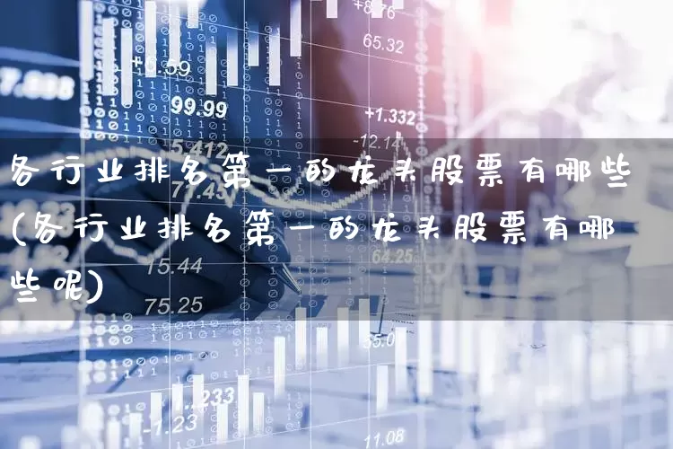 各行业排名第一的龙头股票有哪些(各行业排名第一的龙头股票有哪些呢)_https://www.haiwangdasha.com_上交所_第1张