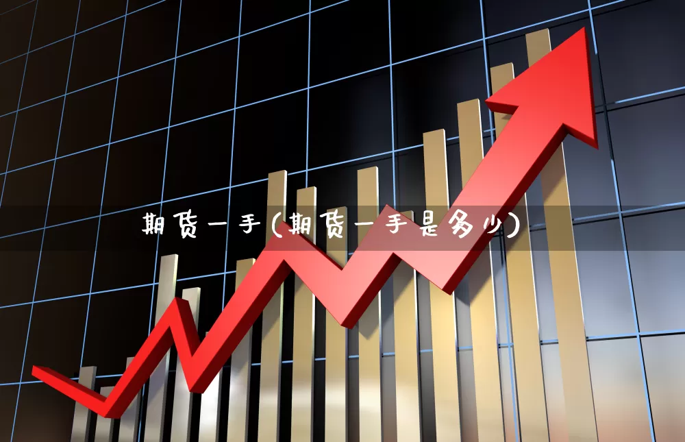 期货一手(期货一手是多少)_https://www.haiwangdasha.com_广期所_第1张