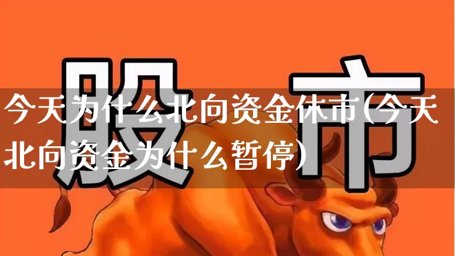 今天为什么北向资金休市(今天北向资金为什么暂停)_https://www.haiwangdasha.com_上交所_第1张