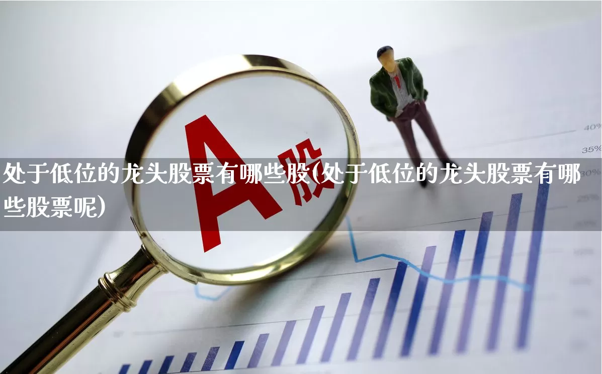 处于低位的龙头股票有哪些股(处于低位的龙头股票有哪些股票呢)_https://www.haiwangdasha.com_科创板_第1张