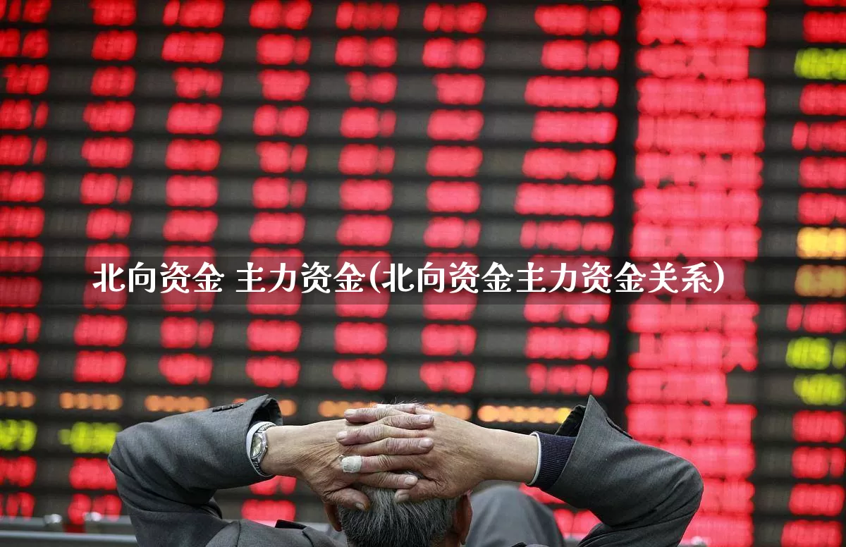北向资金 主力资金(北向资金主力资金关系)_https://www.haiwangdasha.com_科创板_第1张