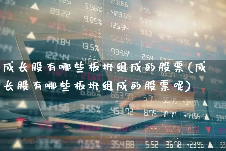 成长股有哪些板块组成的股票(成长股有哪些板块组成的股票呢)_https://www.haiwangdasha.com_深交所_第1张