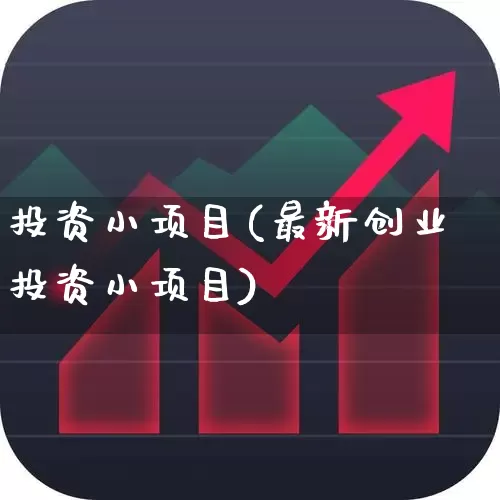 投资小项目(最新创业投资小项目)_https://www.haiwangdasha.com_科创板_第1张