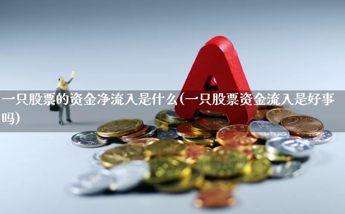 一只股票的资金净流入是什么(一只股票资金流入是好事吗)_https://www.haiwangdasha.com_科创板_第1张