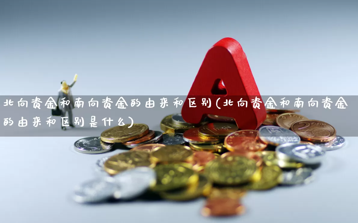 北向资金和南向资金的由来和区别(北向资金和南向资金的由来和区别是什么)_https://www.haiwangdasha.com_深交所_第1张