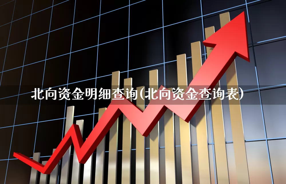 北向资金明细查询(北向资金查询表)_https://www.haiwangdasha.com_北交所_第1张