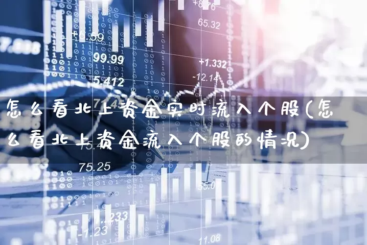 怎么看北上资金实时流入个股(怎么看北上资金流入个股的情况)_https://www.haiwangdasha.com_创业板_第1张