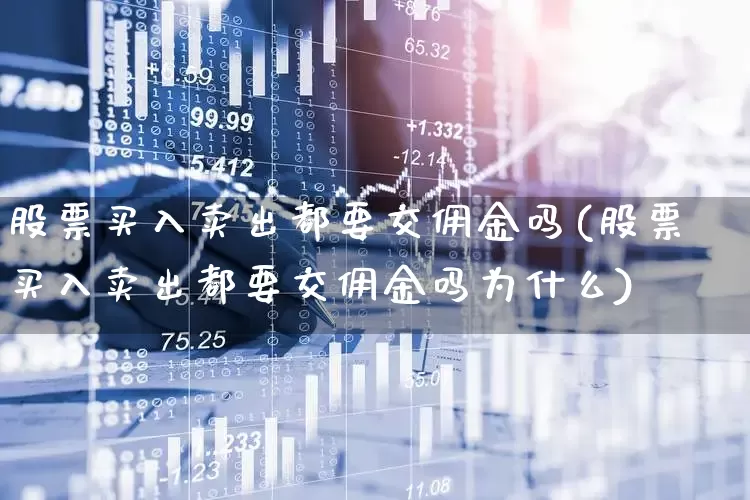股票买入卖出都要交佣金吗(股票买入卖出都要交佣金吗为什么)_https://www.haiwangdasha.com_科创板_第1张