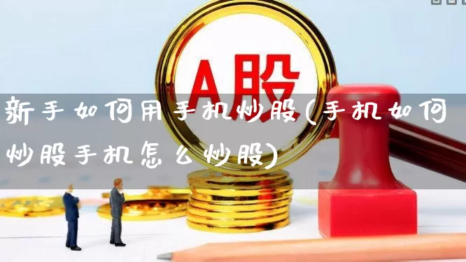 新手如何用手机炒股(手机如何炒股手机怎么炒股)_https://www.haiwangdasha.com_北交所_第1张