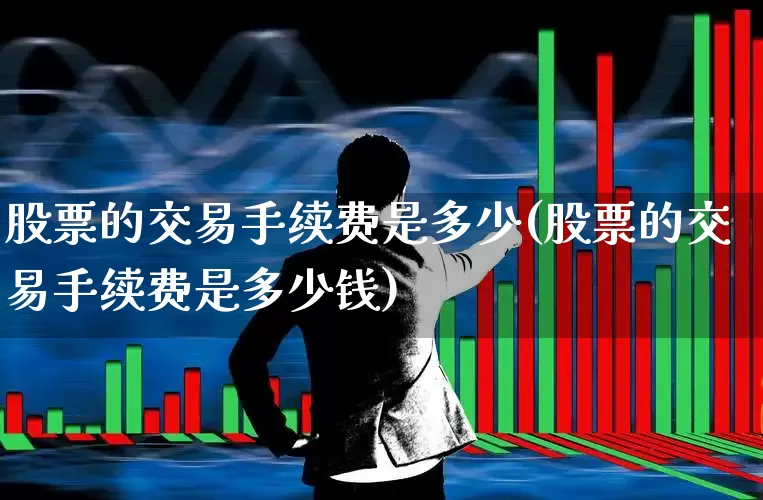 股票的交易手续费是多少(股票的交易手续费是多少钱)_https://www.haiwangdasha.com_科创板_第1张
