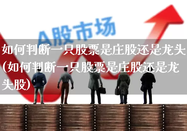 如何判断一只股票是庄股还是龙头(如何判断一只股票是庄股还是龙头股)_https://www.haiwangdasha.com_上交所_第1张
